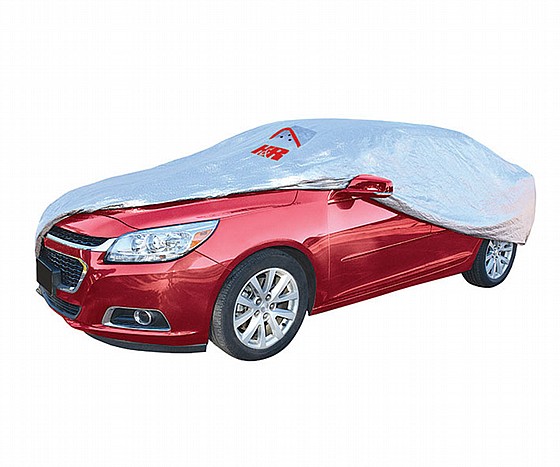 ���� ����� ������ ���� +B